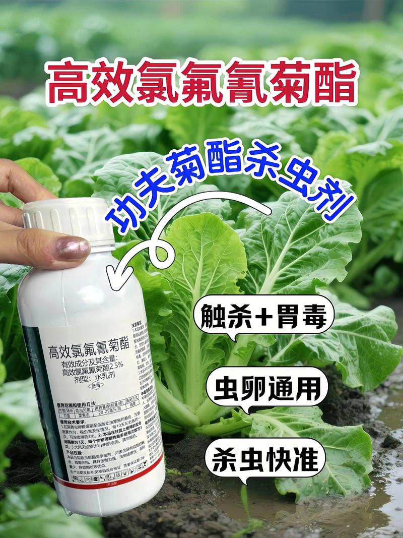 保亭代生中心:农药对供卵代生妈妈的危害